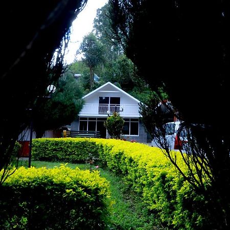 Golden Green Hotel Munnar Ngoại thất bức ảnh
