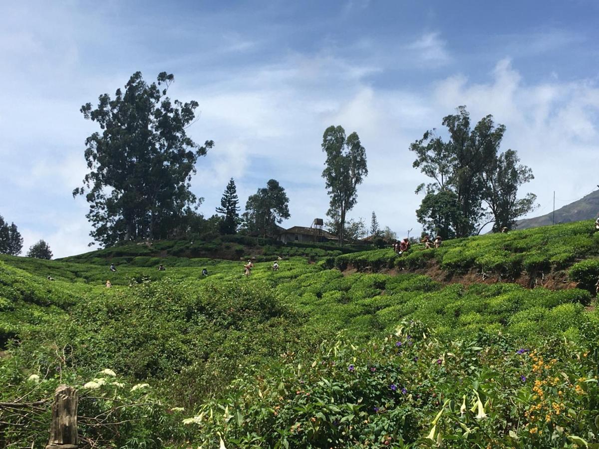 Golden Green Hotel Munnar Ngoại thất bức ảnh